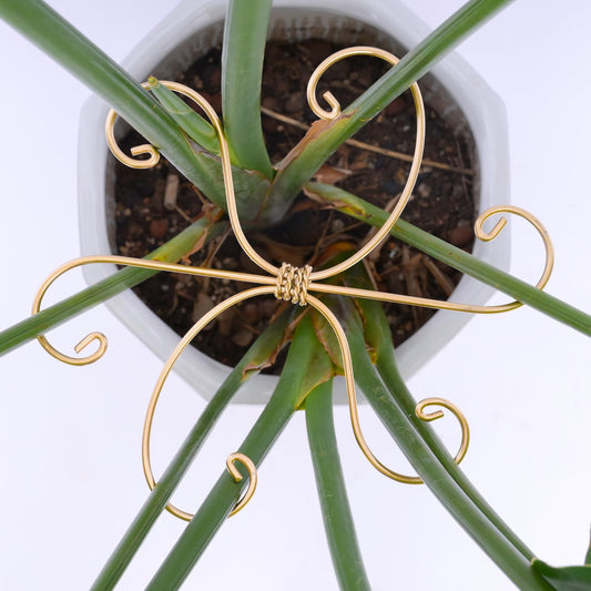 GOOOXIM 5PCS 7.5 Inch Monstera Plant Stem Support Hook - Premium Metal Structure for Indoor Plants, Durable and Elegant Stem Holder with Soft Touch Clips for Stable Growth