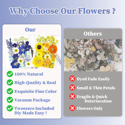 150Pcs Pressed Flowers for Crafts, Colorful Dried Flowers for Crafts Real Natural Dried Pressed Flowers Dry Leaves Bulk for Resin, DIY Art, Scrapbook, Jewelry, Card, Candle & Soap Making with Tweezers