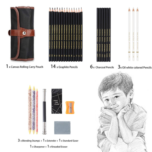 Heshengping 31 Drawing Sketching Pencils Kit, Portable Artist Supples Travel Case Set has Graphite, Charcoal, white color pencil, Blending Stump, gift for Adults Beginners for Drawing Sketch