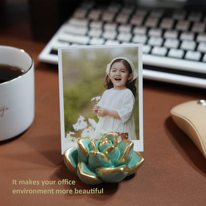 wowhalolo Resin Succulent Business Card Holder Set of 3 - White, Pink, Green - Modern Desk Organizer and Display Stand for Office, Store - Vertical Name Card Holders - Unique Gift and Decor