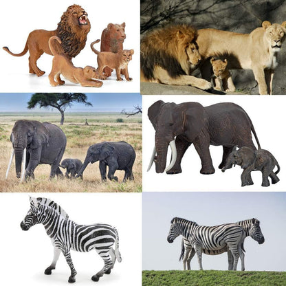 Safari Zoo Animals Figures Toys, 14 Piece Realistic Jungle Animal Figurines, African Wild Plastic Animals with Lion, Elephant Educational Learning Playset for Toddlers, Birthday Gifts Christmas