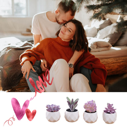 CADNLY Fake Succulent Plant Set - Artificial Desk Plants for Women Desk - Realistic Faux Succulents in Ceramic Pots - Mini Purple Decor for Bedroom Bathroom Office Shelf 4 Pack