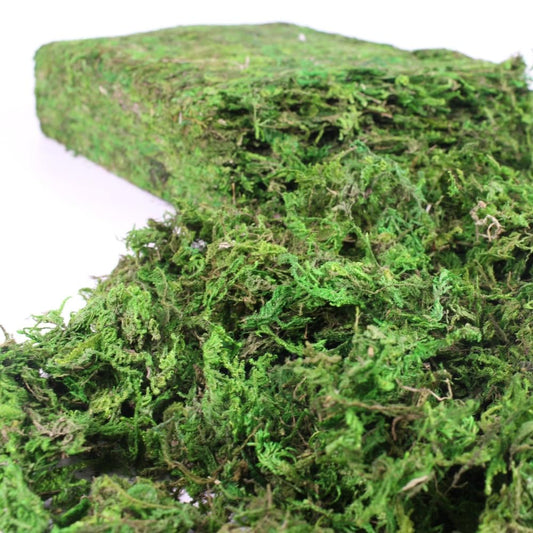 YGbridge Artificial Moss, 17.6 OZ Green Moss for Decorating, Faux Moss for Crafts, Decorative Moss for Plants Indoor, Table Centerpieces, Fairy Garden Wedding Decor, Fake Moss Decor