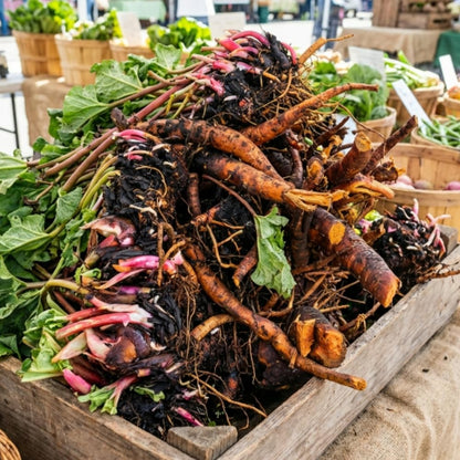 05 Rhubarb Roots for Planting, M Size Red Rhubarb Plants Crown Rhizomes Vegetable for Planting, Hardy Perennial Vegetables