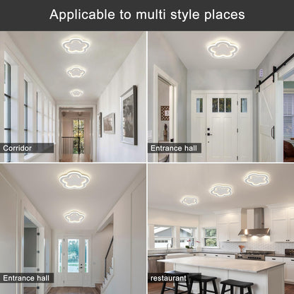 Linovix Modern LED Ceiling Light 9.8inch Small Ceiling Light Fixture 21w with Remote Control(3000k-6000k) Close to Ceiling Lights for Hallway Entryway Corridors Kitchen Laundry Room (White)