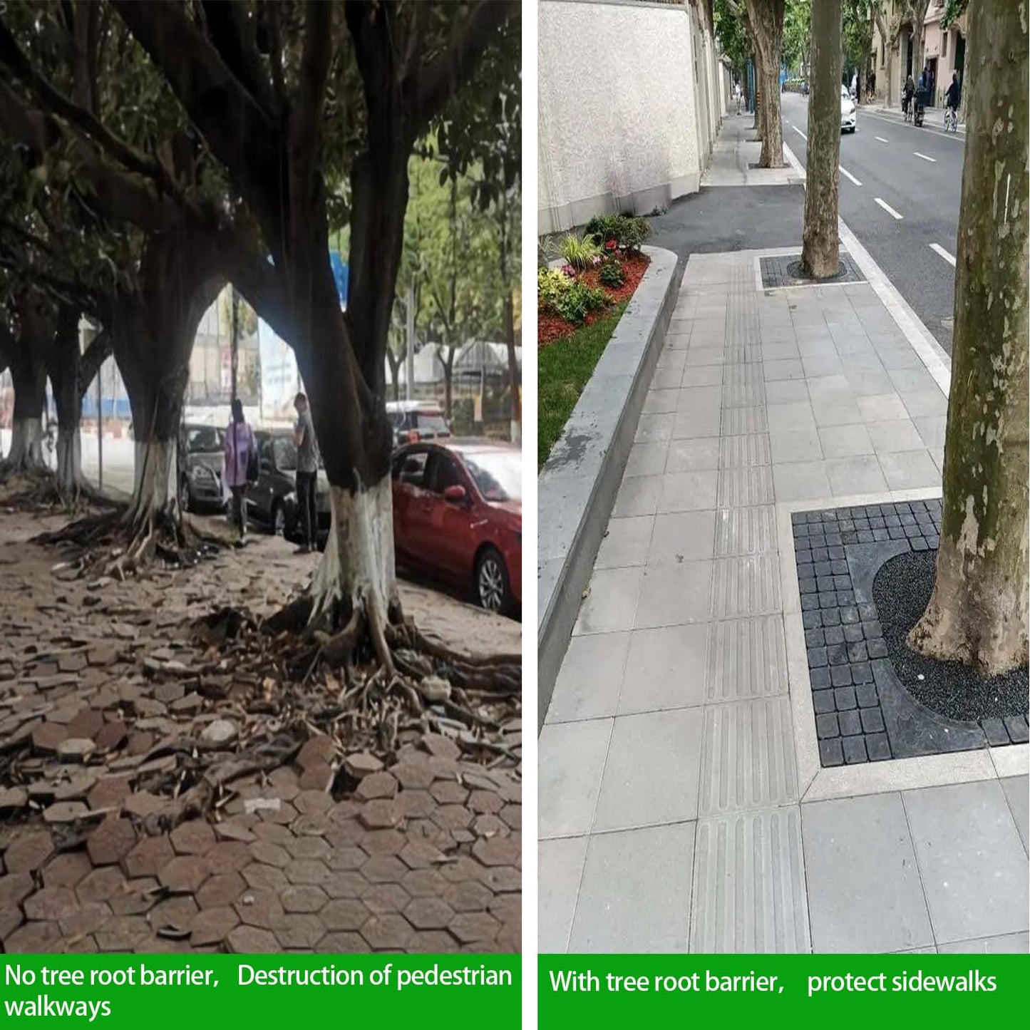 20ft x 24in x 60mil Tree Root Barrier for Landscaping & Protect Roads | Bamboo Barrier Heavy-Duty Root Blocker Rhizome Control Barrier