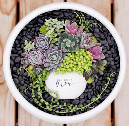 5LB Black Pebbles for Indoor Plants, Vases, Succulent, 3/8 Inch Small Black Rocks for Plants, Polished & Decorative