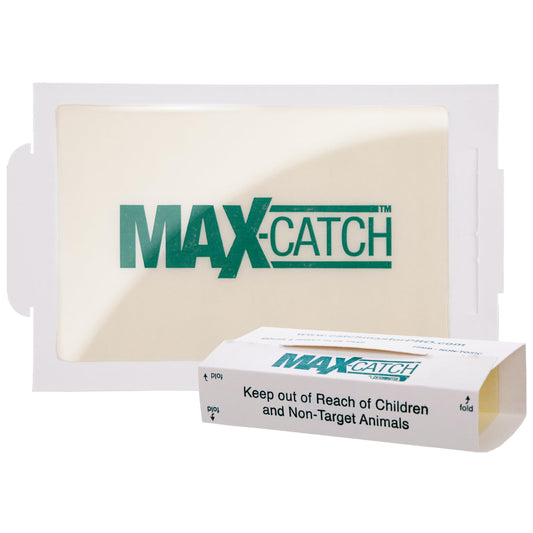 Catchmaster Max-Catch Mouse & Insect Glue Trap 72pk, Mouse Traps Indoor for Home, Sticky Pest Control Adhesive Tray for Catching Bugs, Bulk Classic Glue Boards