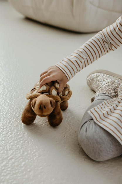 The Petting Zoo Desert Tortoise Stuffed Animal Plushie, Gifts for Kids, Wild Onez Wildlife Animals, Desert Tortoise Plush Toy 9 Inches