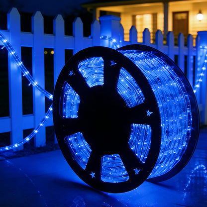 Tuanchuanrp LED Rope Lights, 100ft 110V Waterproof Rope Lights for Outside, Outdoor String Lights, Ideal for Eaves, Backyards Garden, Christmas Decoration(Blue)