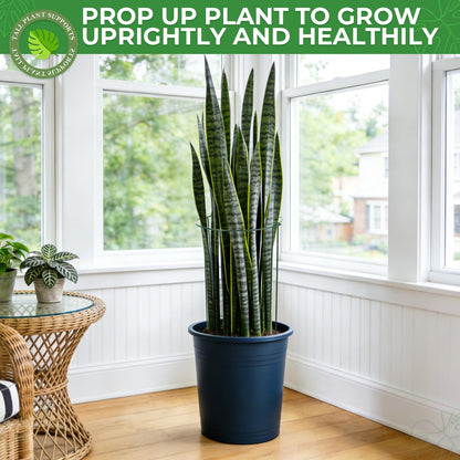 LEOBRO 12PCS Plant Supports, 24 Inch Peony Cages and Supports, Garden Plant Stakes for Indoor Plants, Outdoor Plants, Peony Tomato Monstera Hydrangea Stakes, 10" W x 24" H
