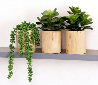 VINSUNI Artificial Succulents with Pots - Set of 3 Small Fake Plants for Aesthetic Room Decor - Realistic Mini Faux Greenery for Office Desk, Bookshelf, and Bathroom - Modern Home Accents