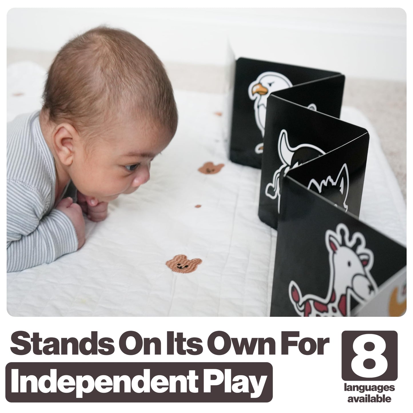 Happy Start Award-Winning High Contrast Board Book - Newborn Black & White Baby Cards, Easy to Clean, Hospital Approved, Stands on Its Own, Tummy Time Toy, Ages 0+ (3 Pack - Animals, Food, Landmarks)