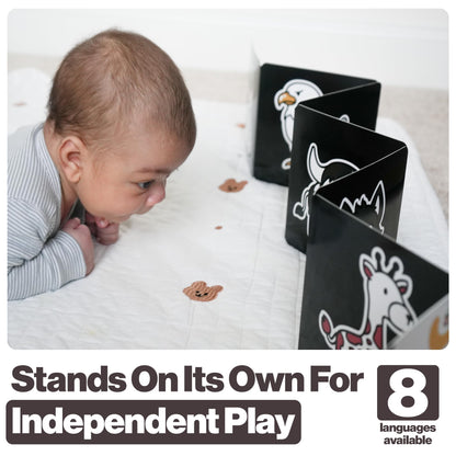 Happy Start Award-Winning High Contrast Board Book - Newborn Black & White Baby Cards, Easy to Clean, Hospital Approved, Stands on Its Own, Tummy Time Toy, Ages 0+ (3 Pack - Animals, Food, Landmarks)