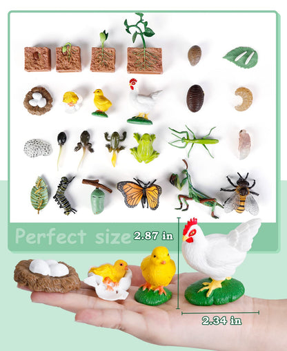 Life Cycle Learning Toys for Kids: Life Science Education Kits with Butterfly, Frog, Chicken, Mantis, Bee, Plants - 25 Pieces Animal Figurines Montessori Toys for Children Age 3 4 5 6 7 8+