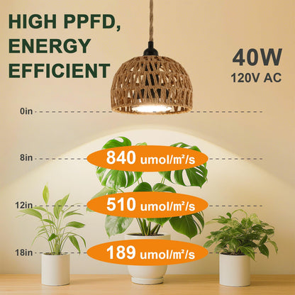Cofiveevo Hanging Grow Lights for Indoor Plants, Full Spectrum Plant Light, with Timer and 15FT Power Cord, 30W Pendant Plant Lights for Indoor Growing, Garden, Flowers, Greenhouse (4000k)