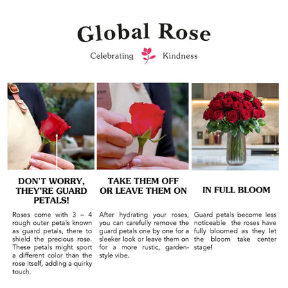 GlobalRose 100 White Roses Bouquet - Responsibly Sourced Roses Fresh Flowers - Hand-Picked Flowers Fresh Bouquet for Graduation, Anniversary, Birthday & Special Occasions (4 Bunches of 25 Stems)