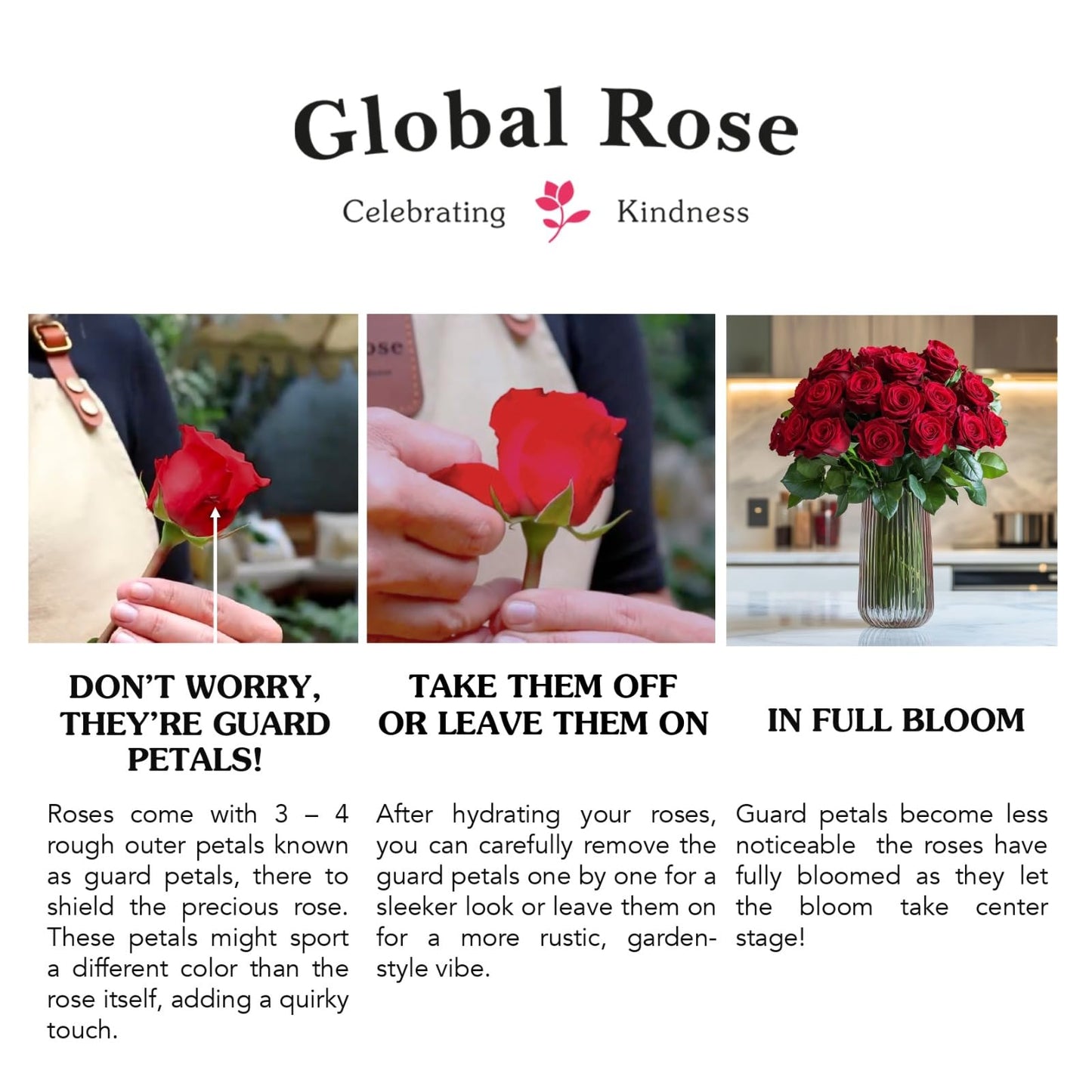 GlobalRose 75 Orange Roses Bouquet - Responsibly Sourced Roses Fresh Flowers - Hand-Picked Flowers Fresh Bouquet for Graduation, Anniversary, Birthday & Special Occasions (3 Bunches of 25 Stems)