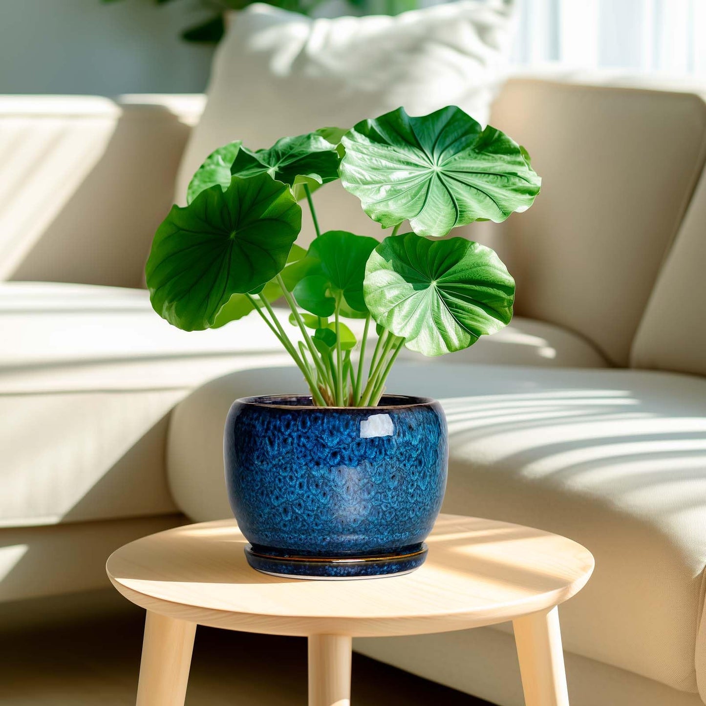 SQOWL Ceramic Planter 8 Inch - Pot for Indoor Outdoor Plants Round Ceramic Plant Pot with Drainage Hole and Saucer Modern Flower Pot Glazed Blue