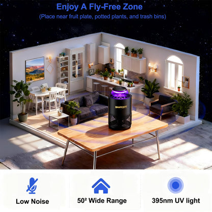 BANPESTT Automatic Insect Trap: Dusk-to-Dawn Sensor & Powerful Suction Quiet, Non-Zapper for Fruit Flies, Gnats, Mosquitoes | Includes 6 Glue Boards & UV Light (Black)