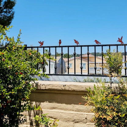 5PCS Rusty Birds Decoration, Outdoor Metal Birds Decor for Yard, Wall & Fence - Hummingbirds Craft Statue Ornaments - Garden Sculptures and Yard Art - Rustic Garden/Farmhouse Decor, Double-Side Design