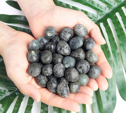 DUQGUHO Labradorite Crystals Healing Crystal Stones Set Natural Crystals Bulk Irregular Tumbled Polished Crystal Stones 0.45 lbs