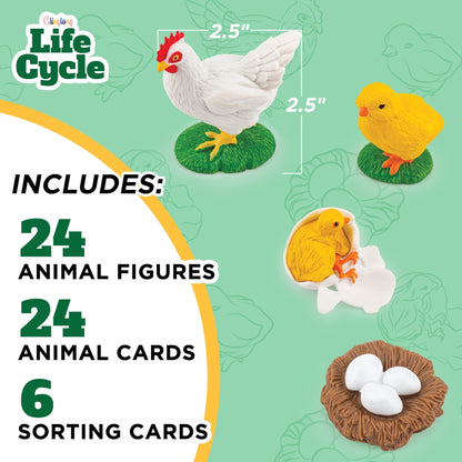 Life Cycle Animal Kit - Montessori Science Toy with 24-Piece Matching Game, Butterfly, Frog, Chicken, Bee, Ladybug and Turtle STEM Educational Gift, Easter Basket fillers for Kids Ages 3-8