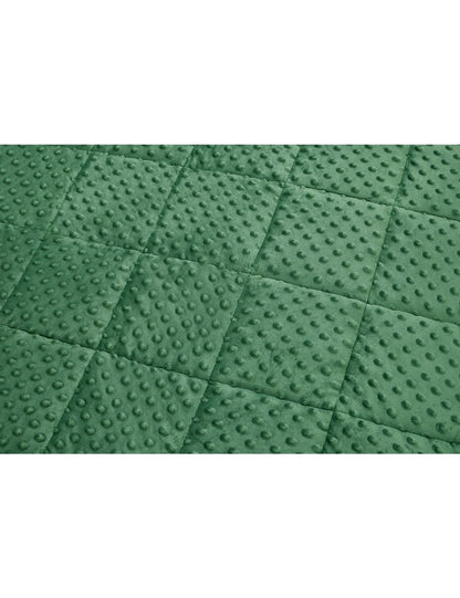 TONGDADA Minky Weighted Blanket | 40''x60'',10lbs | Cozy and Soft Minky Weighted Throw Blanket | Luxury Velvet with Premium Glass Beads | Dark Green Minky