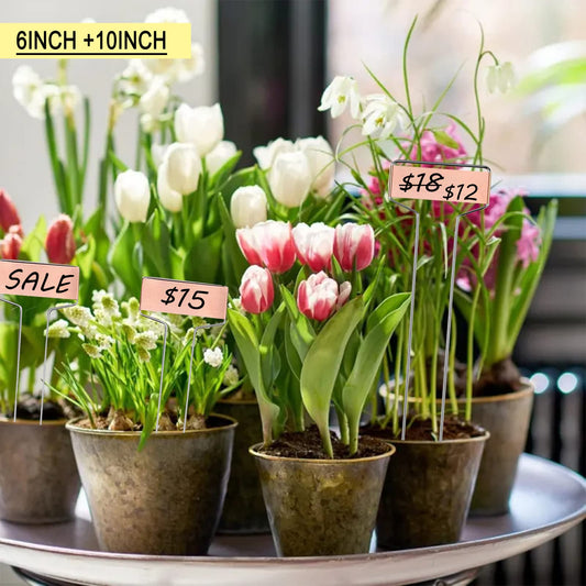 30-Pack Copper Plant Markers Metal Plant Labels 6in&10inch Plant Markers for Outdoor Plants, Garden Markers Plant Labels for Seedlings Herbs Flowers Vegetables Tree Tags Gardening Gifts