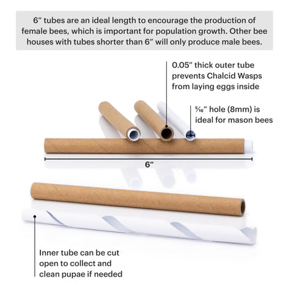 WHITEHORSE Premium Cedar Bee House - 6” Long Replaceable Tubes - Perfect for Mason Beekeeping - an Insect Hotel Built to Last - Support Bees While Pollinating Your Garden (Paper Tubes Included)
