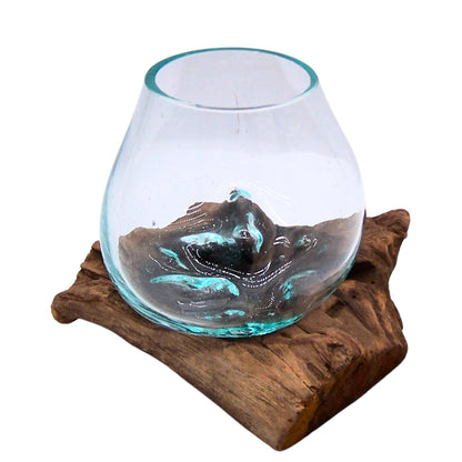 Wowser Small Glass Bowl on Driftwood Figurine, Freestanding Nautical Décor, Beach Themed Decoration, 6.5 Inches