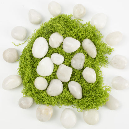 River Rocks - Natural Polished White Pebbles, 0.5-1 inch, 40 lbs - Perfect for Indoor Planting, Vase Filling, Aquarium Decoration, and Garden Landscaping (White, Weight: 40 LB)