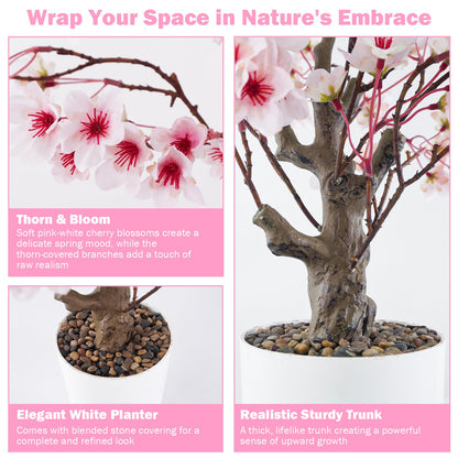 Caxchiling Cherry Bloosom Tree 2FT, Small Tabletop Tree with Vase Pot, Artificial Pink Flower Blossom Plants for Centerpiece, Home Office Desk Decor for Spring, Living Room Bedroom Wedding Party Decor