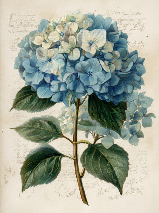 CDYCNXZ Blue Hydrangea Diamond Art Painting Vintage Flower DIY 5D Diamond Art Kits for Adults Beginners, Gem Painting Crafts Kits for Gift Home Decor 12 x16 inch