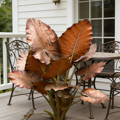 Hardy Elephant Ear Plant Bulbs | Tropical Colocasia for Home Garden & Outdoor Patio Landscaping (6)