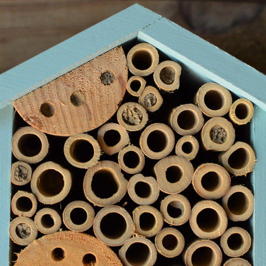 Nature's Way Bird Products PWH1-C Teal Bee House