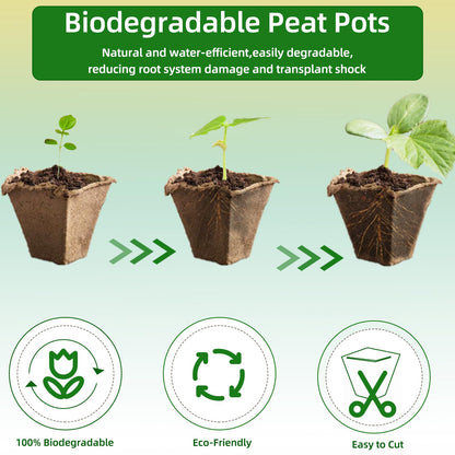Hanmsen Seed Starter Tray,240 Cell Biodegradable Peat Pots Seed Starter Kit,Organic Germination Trays for Vegetable Flower Seedlings with 20 Plant Labels & 2 Garden Tools -20 Pack