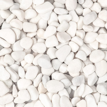 Ausluru 5lbs White Natural River Rocks, Polished Pebbles for Plants Garden, 0.3-0.8 inch Decorative White Stones, Ideal for Fish Tank, Vases, Crafting, Home Decor and Garden Landscaping Rocks,White