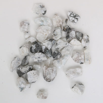 REAL-GEMS Natural Raw Healing Crystals Rough Stones for Tumbling, Cabbing, Polishing, Wire Wrapping, Wicca & Reiki Crystal Healing, Mix Gemstones,7 Chakra (Moonstone)