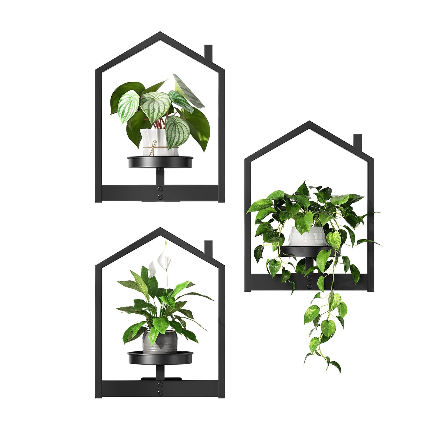 HOOBRO Hanging Planters for Indoor Plants, Wall Plant Holder Set of 3, Plant Hanger Indoor Window Plant Shelves, Metal Frame, Space Saving, for Living Room Outdoor Entryway, Black BK08HJP301