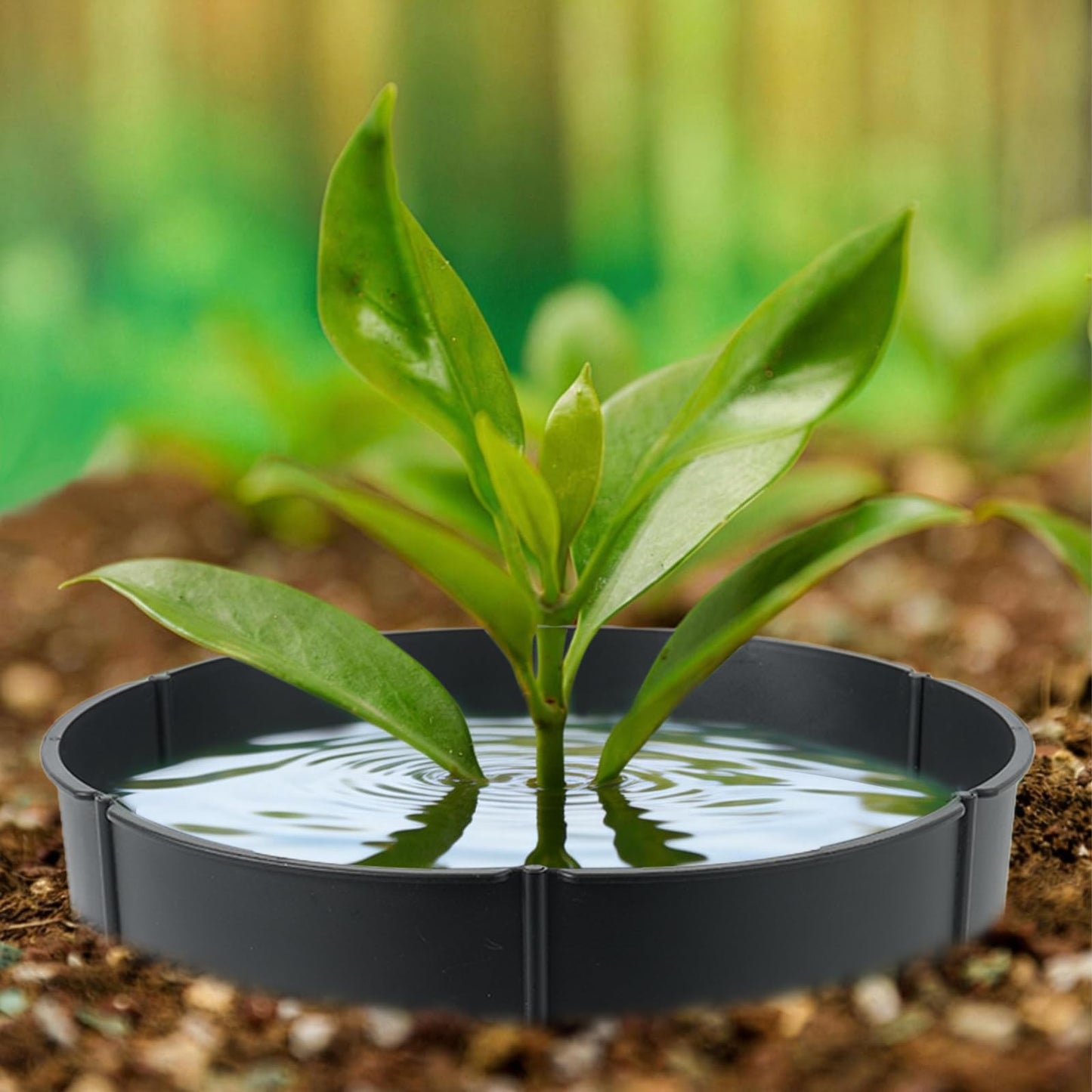 Planting Grow Rings, 30 Pcs Garden Border Segments for 8/10/12 Inch Plant Rings, Water Retention Root Watering, Seedling Protection for Raised Bed Vegetable Gardens, Easy Assembly (Black)