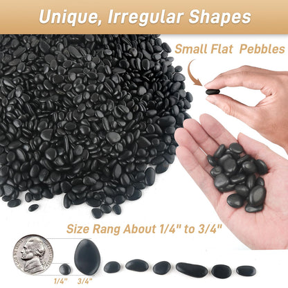 Mulctun 6lb Black Rocks for Planters- 1/4" - 3/4" Polished Black Stones Smooth Flat Pebbles for Fish Tanks Decorative River Rocks for Vases Bonsai Pots Garden Stones for Landscaping and Yards
