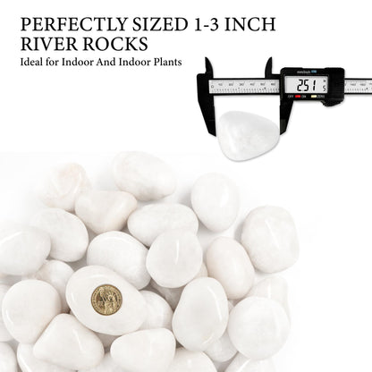 BIOMAND 18lb White River Rocks for Plants, 1-3 Inch Pebbles for Indoor Plants, Polished Garden Rocks Outdoor Landscaping, Decorative Stones for Vases, Succulents, Aquarium, Walkways