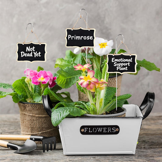 25 Packs Plant Labels with Marker Pen, Garden Markers, Wooden Plant Makers for Outdoor, Reusable Plant Tags for Vegetables, Herbs, Potted Plants, Seed, Great for Mother's Day, House Warming Gift