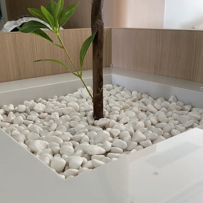 SHIZWU 10lbs White Rocks for Landscaping,1-2 Inch Decorative Pebbles for Plants,River Rocks for Backyard,Flower Beds, Indoor Fountains, Paths, Aquarium Vase,Outdoor Garden