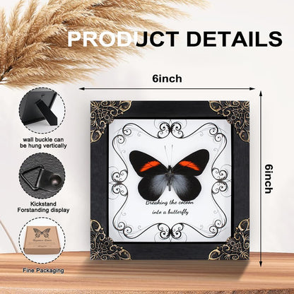 Butterfly Framed Decoration Handmade Taxidermy Butterfly Shadow Box Collection Framed Butterfly Taxidermy for Gothic Home Decor