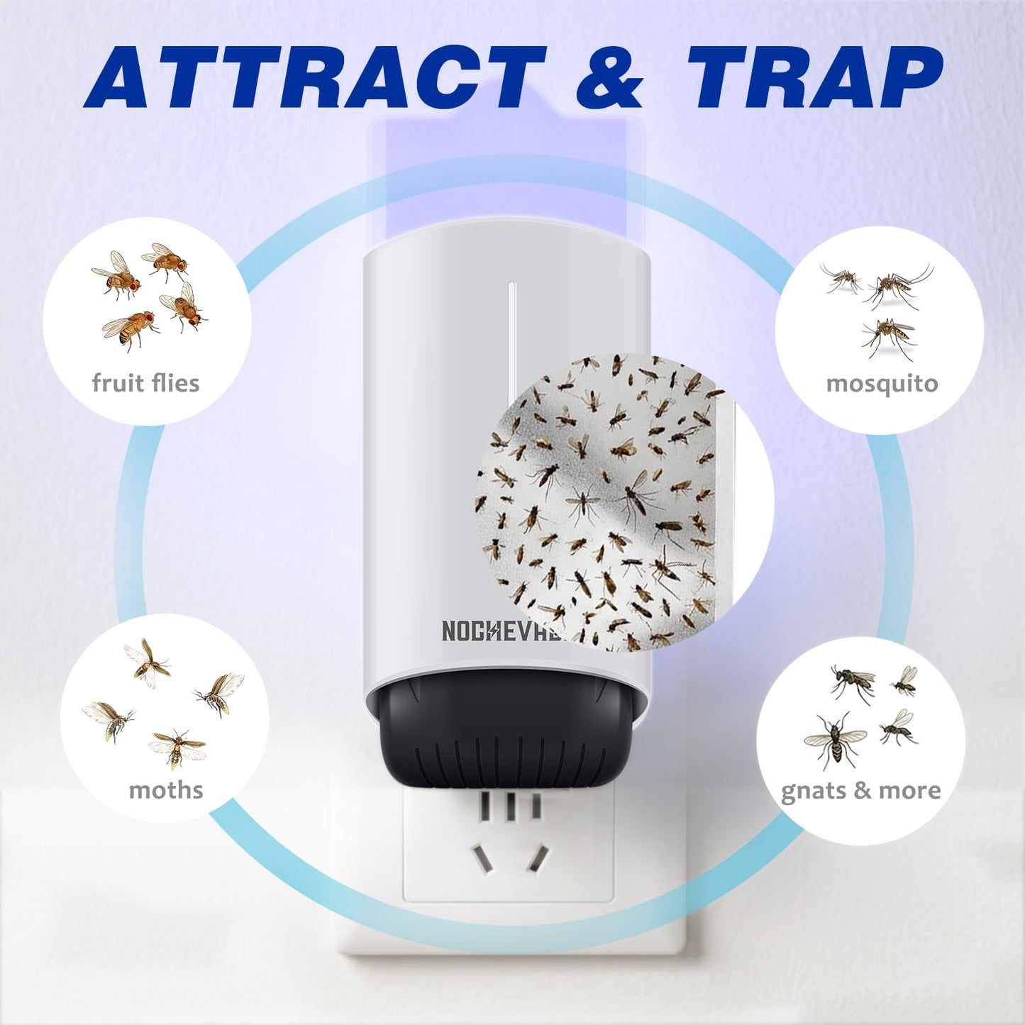 NocheVacia 2 Plug-in Flying Insect Traps & 10 Refills, Effective Fly Trap for Indoor Use, Small Bug Catcher with Purple Light for Fruit Flies, Gnats, Moths and Mosquitoes