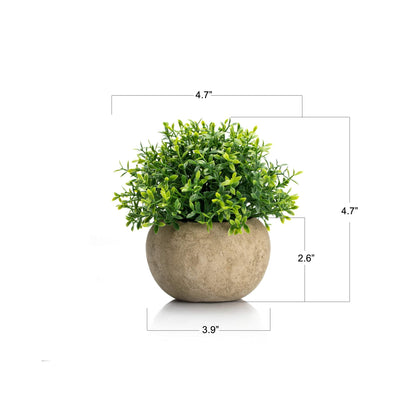 Velener 2Pcs Mini Artificial Boxwood Topiary Faux Plants Indoor- Small Fake Plants Decor Magnolia Home Office Desk Cubicle Farmhouse Kitchen Bookshelf Bedroom Bathroom Decor, Aloe Vera Zen Garden