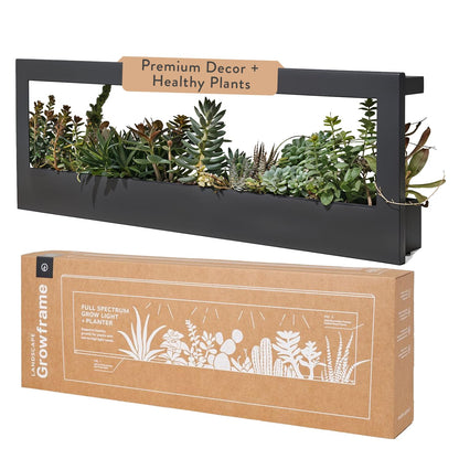 Modern Sprout Smart Landscape Growframe - Wall Mounted Plant Stand with LED Grow Light - Smart App Controlled - Powder-Coated Steel Frame for Indoor Plants - Perfect for Gifting and Decor - Black