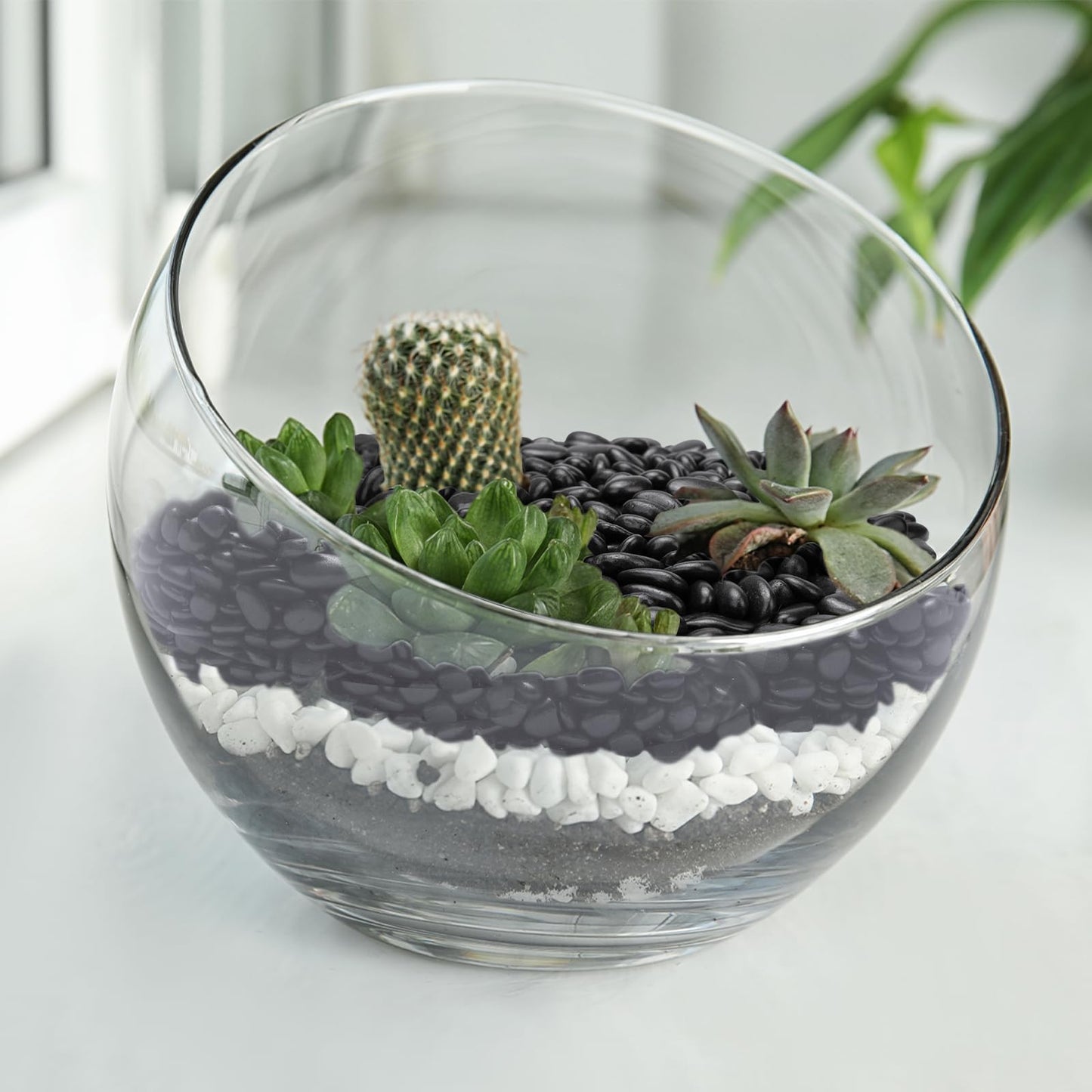 Pulovin 10 lbs Black Pebbles for Indoor Plants, Succulent, Bamboo, Vase, 3/8" Plant Rocks for Pots Indoor, Small River Rocks Decorative Pea Gravel, Highly Polished